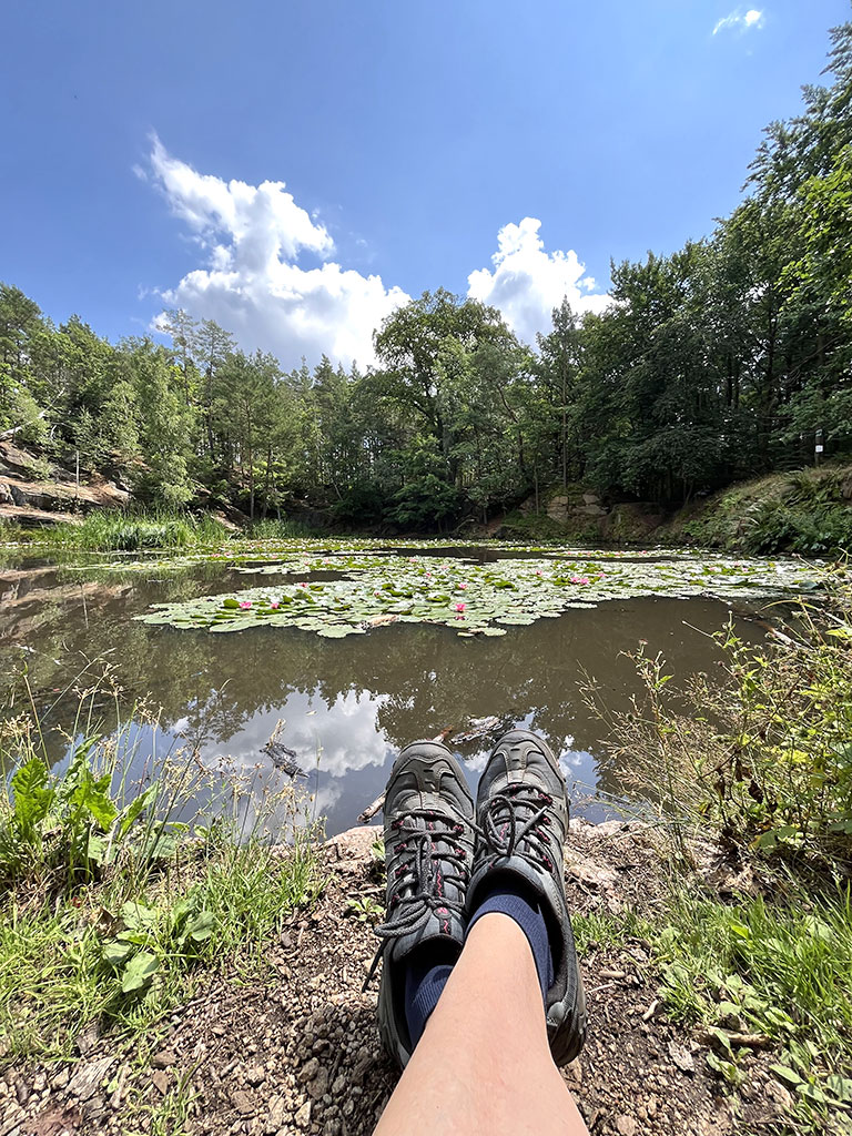 1:1 Walk Coaching • DIANA WORCH • Life & Naturcoach 1-zu-1-walk-coaching-ziel-diana-worch