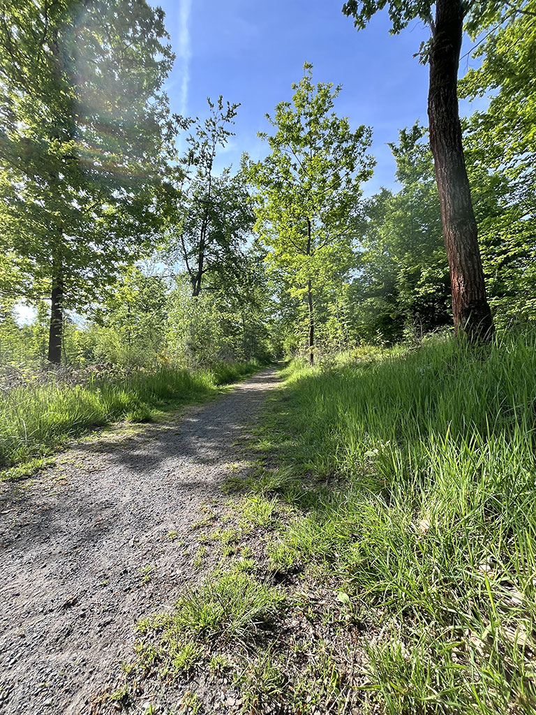 Coaching in der Natur • DIANA WORCH • Life & Naturcoach coaching-in-der-natur-diana-worch