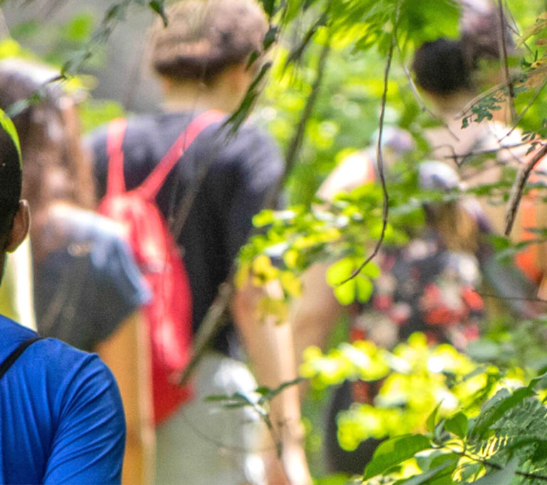 WalkToTalk • DIANA WORCH • Life & Naturcoach walktotalk-hg-diana-worch