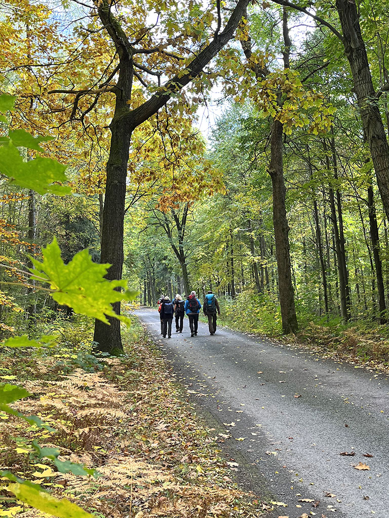 WalkToTalk & Wanderseminar • DIANA WORCH • Life & Naturcoach walktotalk-wanderseminar-gruppencoaching-diana-worch